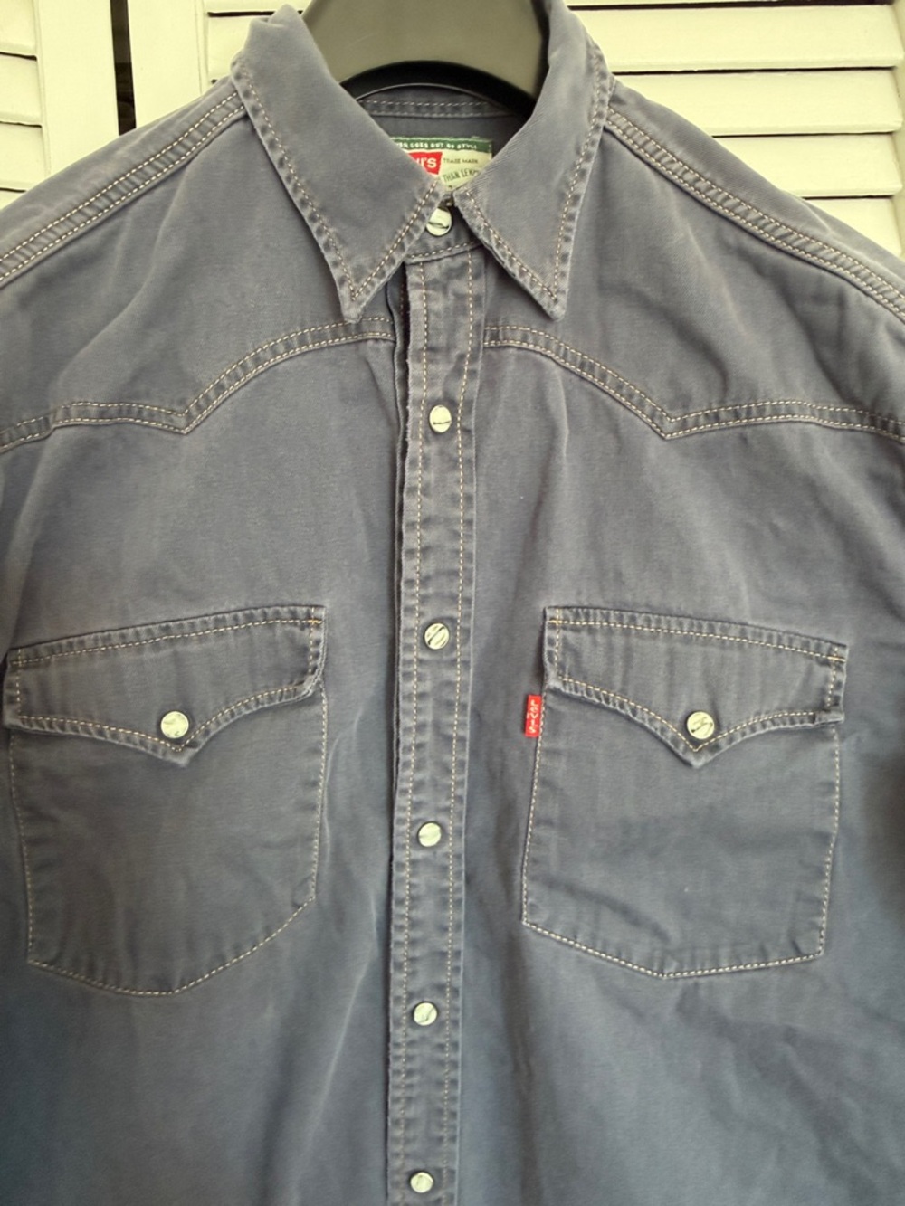 Levi's Men's Button-Down Western Shirt in Dusty Blue